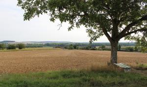 Rando 13 - valorisation