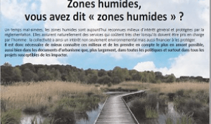 Zones humide