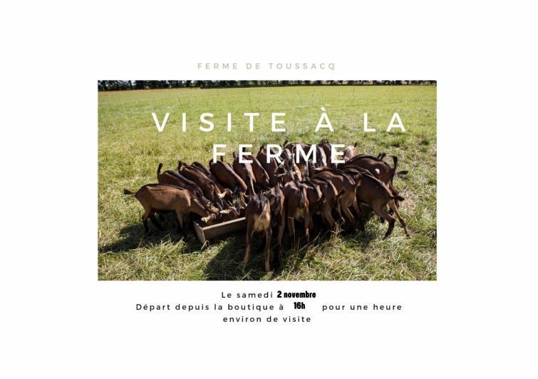 Agrandir l’image